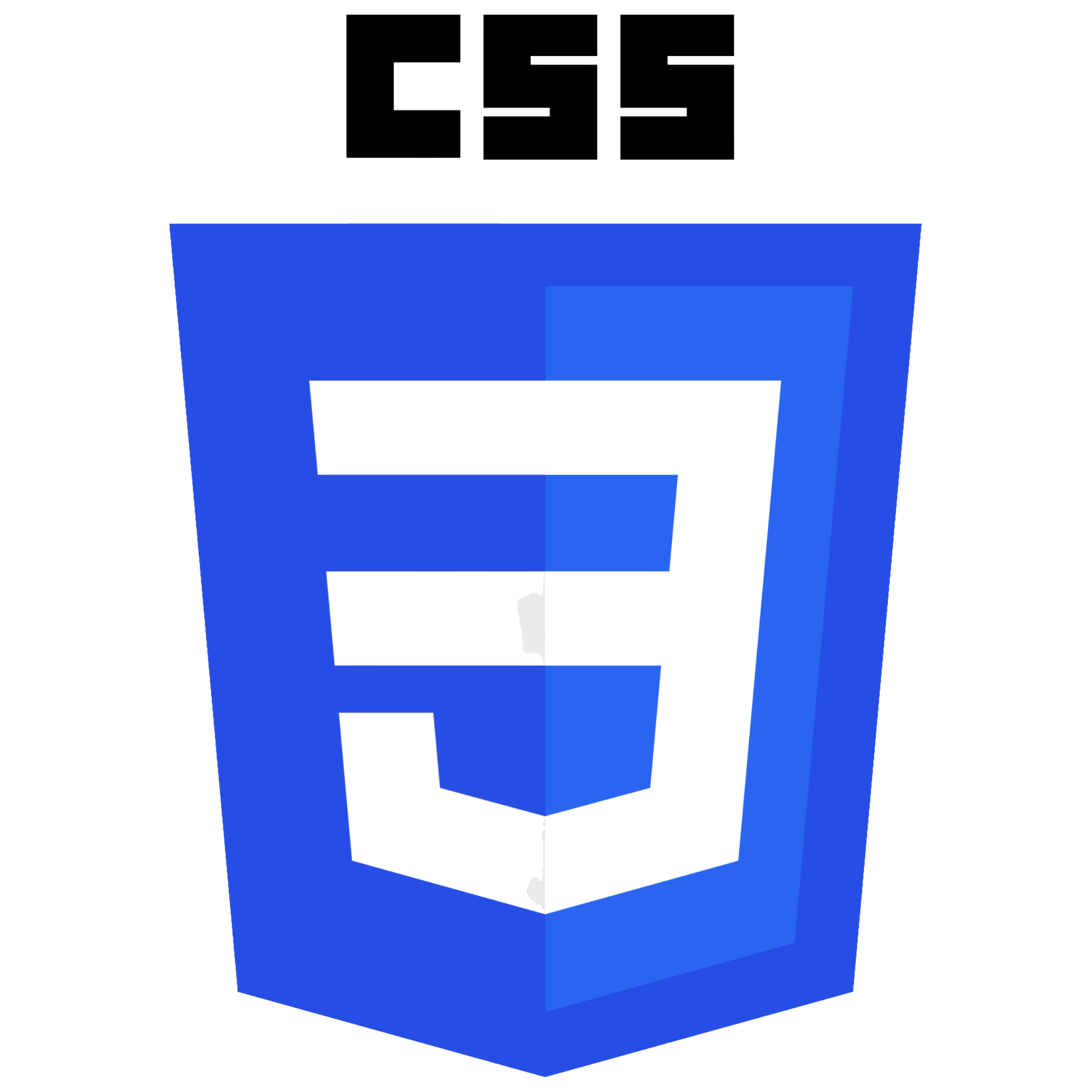 CSS Logo